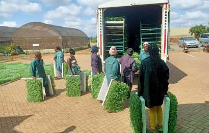 Farm_1