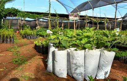 Propagation_2