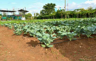 Propagation_3
